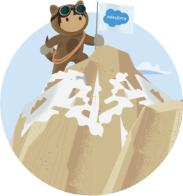 A person dressed like a racoon climbs a mountain while holding a Salesforce flag